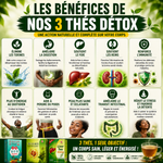 Charger l'image dans la galerie, 🍵 PACK DÉTOX VITALITÉ — FOIE + REIN + ÉQUILIBRE DU CORPS
