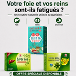 Charger l'image dans la galerie, 🍵 PACK DÉTOX VITALITÉ — FOIE + REIN + ÉQUILIBRE DU CORPS
