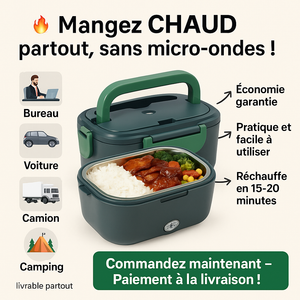 LUNCH BOX ELECTRIQUE