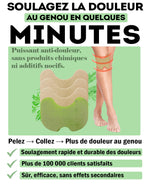 Charger l&#39;image dans la galerie, Patchs Anti-Douleur Chauffants À Base De Plantes
